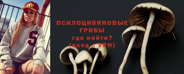 ALPHA PVP Вяземский