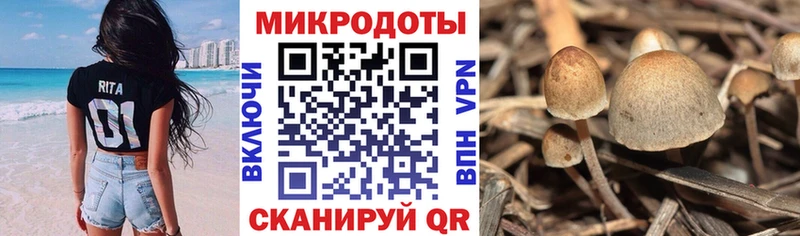 Купить  Остров  Галлюциногенные грибы ЛСД 